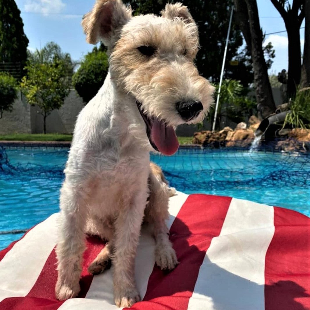 Floating Pool/ Outdoor Cushion